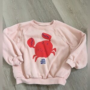 Zara Toddler Sweatshirt
